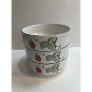 Savoir Vivre "Luscious” Soup Bowls/Dishes Set Of 3